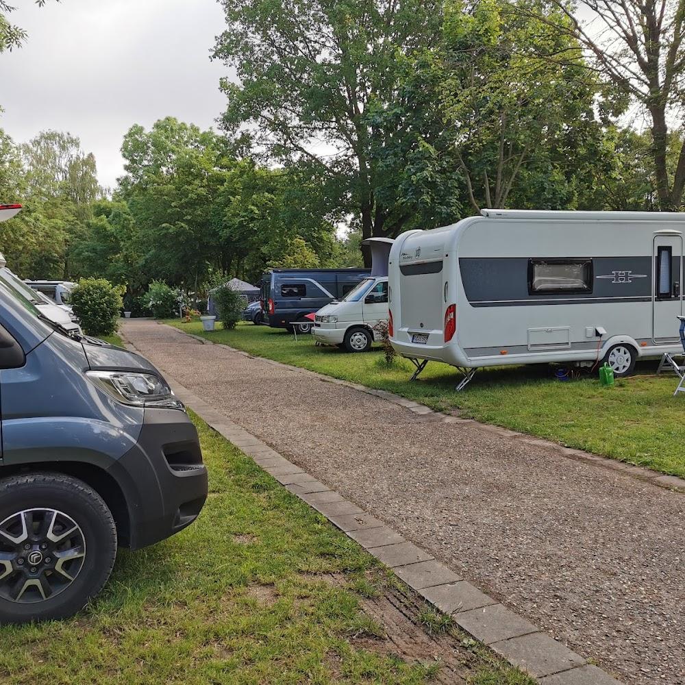 Campground with campervans, motorhomes, and trees.